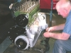 1937 Super 8 25